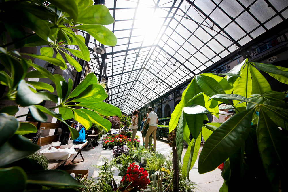 Mercado plantas y flores Tolosa