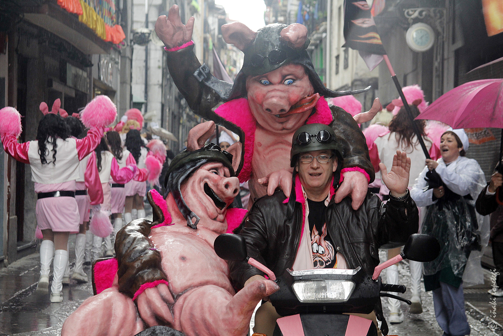 Carnavales de Tolosa