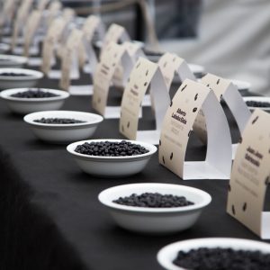 Fiesta de la alubia de Tolosa