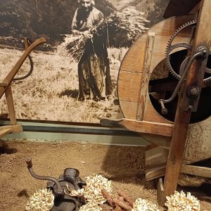 Dando espacio a la transmisión - Textiles de Maíz Exposición Lola Artolagirre Ecomuseo Larraul